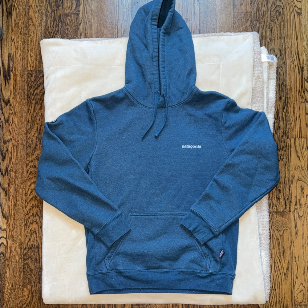 Patagonia Men's Slate Blue Pullover Hoodie